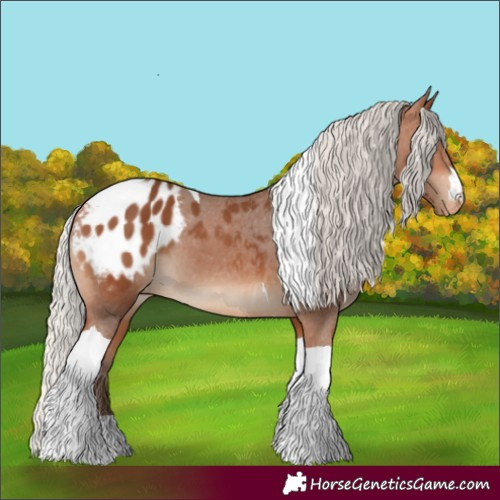 Horse Color:Silver Bay Tobiano Appaloosa