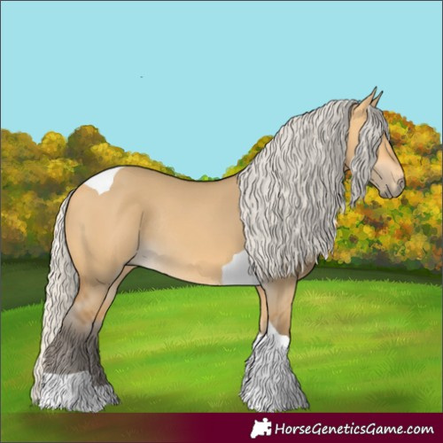 Horse Color:Silver Buckskin Dun Tobiano Rabicano 