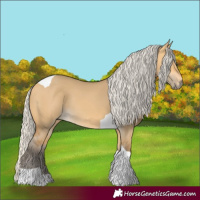 Horse Color:Silver Buckskin Dun Tobiano Rabicano 