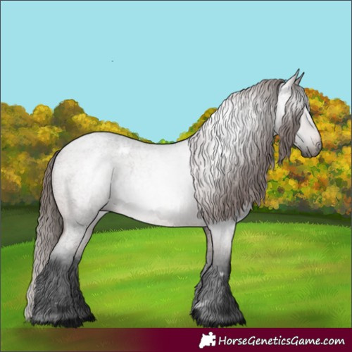 Horse Color:Gray White Spotted Bay Roan Varnish