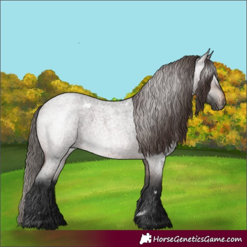Horse Color:Gray White Spotted Bay Roan Appaloosa