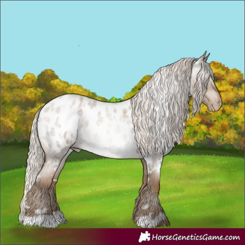 Horse Color:Gray White Spotted Silver Smoky Blue Roan Pearl Appaloosa Rabicano 