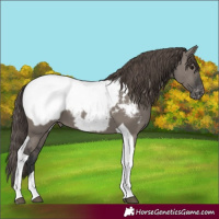 Horse Color:Grullo Tobiano Snowcap 