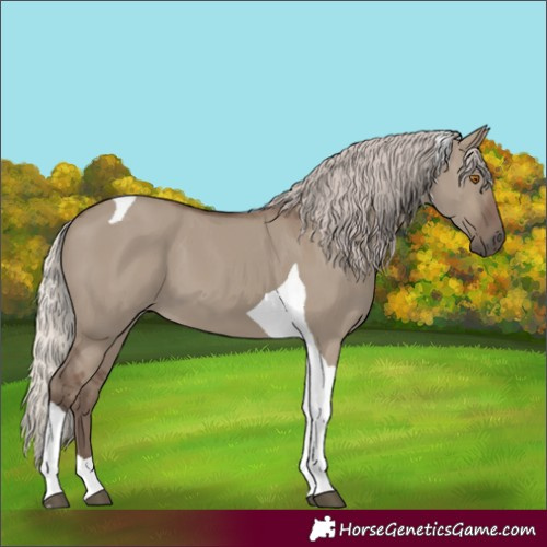 Horse Color:Silver Grullo Tobiano