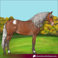 Horse Color:Silver Bay Varnish