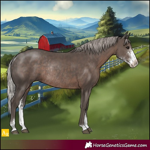 Horse Color:Silver Black Sabino Rabicano 