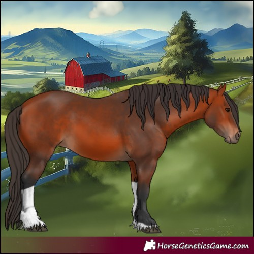 Horse Color:Unknown 