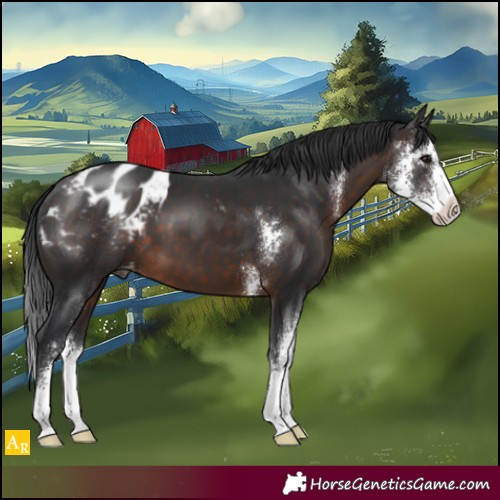 Horse Color:Brown Sabino Blanket 