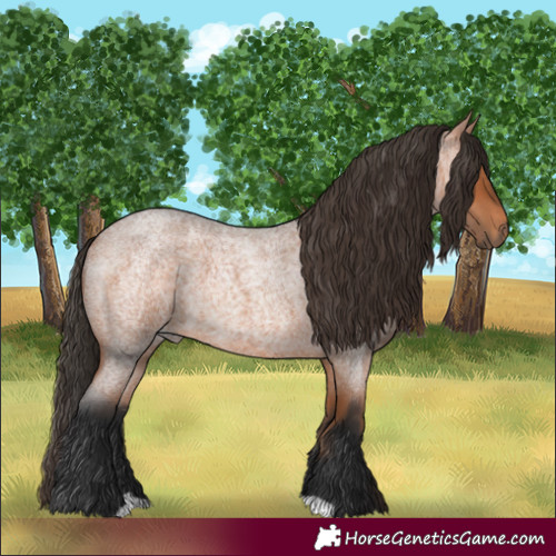 Horse Color:Bay Roan 