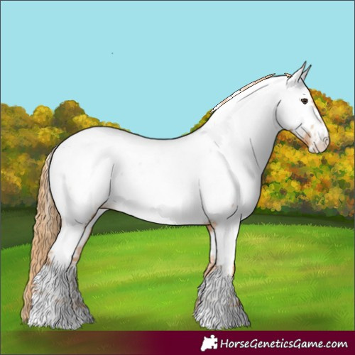Horse Color:Chestnut Tobiano Near Fewspot