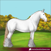 Horse Color:Chestnut Tobiano Near Fewspot 