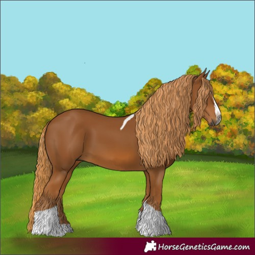 Horse Color:Gray Chestnut Splash Tobiano