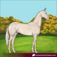 Horse Color:Cremello Dun 