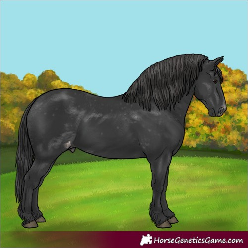 Horse Color:Black Varnish