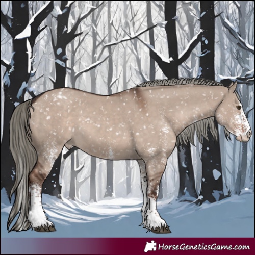 Horse Color:White Spotted Liver Red Dun Mushroom Appaloosa