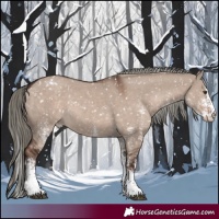 Horse Color:White Spotted Liver Red Dun Mushroom Appaloosa 