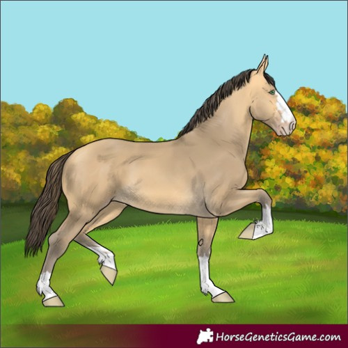 Horse Color:Amber Cream Champagne