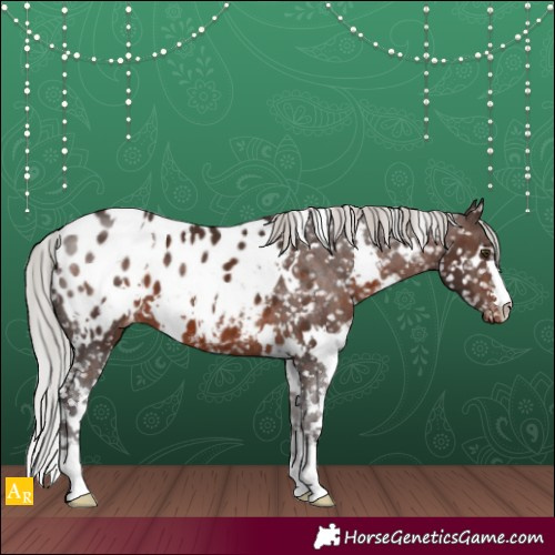 Horse Color:White Spotted Silver Brown Blanket 