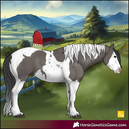 Horse Color:Unknown 