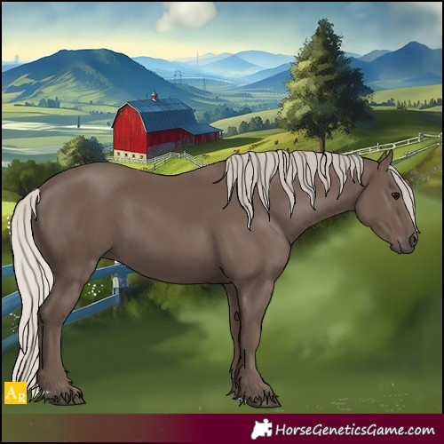 Horse Color:Silver Black 