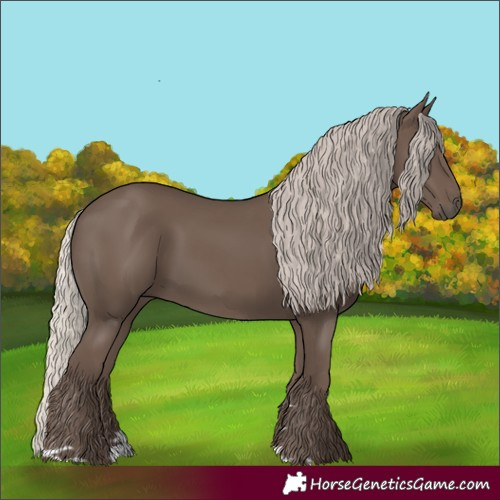 Horse Color:Silver Black 