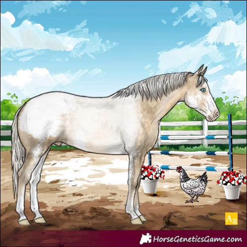 Horse Color:Silver Buckskin Pearl Sabino Snowcap 
