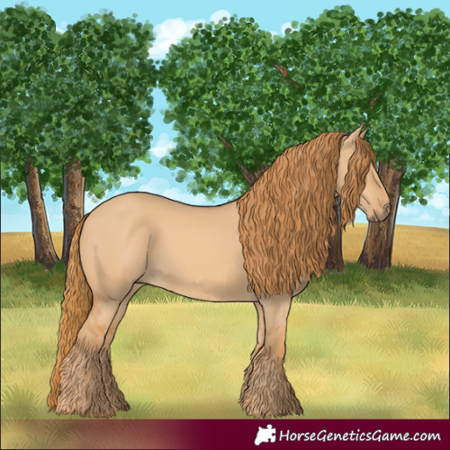 Horse Color:Red Dun 