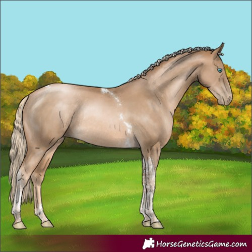 Horse Color:Chocolate Palomino Pearl Tobiano Rabicano
