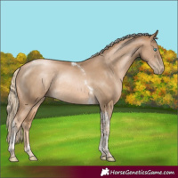 Horse Color:Chocolate Palomino Pearl Tobiano Rabicano 