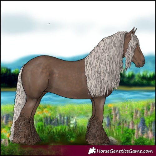 Horse Color:Silver Black