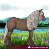 Horse Color:Silver Black 