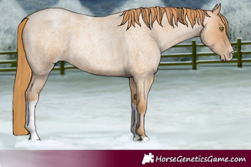 Horse Color:Red Roan Pearl Tobiano Frame 