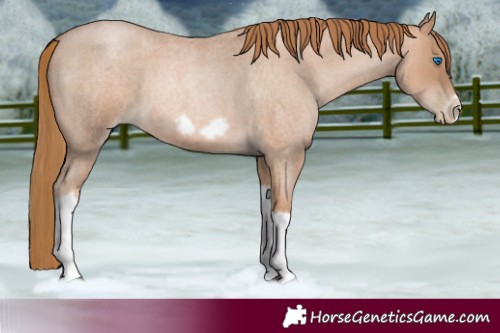 Horse Color:Red Roan Pearl Tobiano Frame 