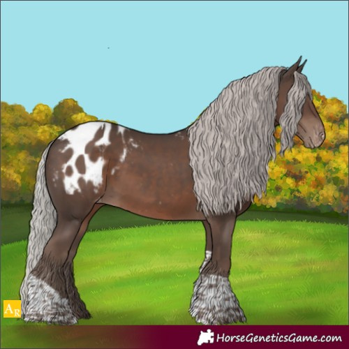 Horse Color:Silver Black Tobiano Appaloosa