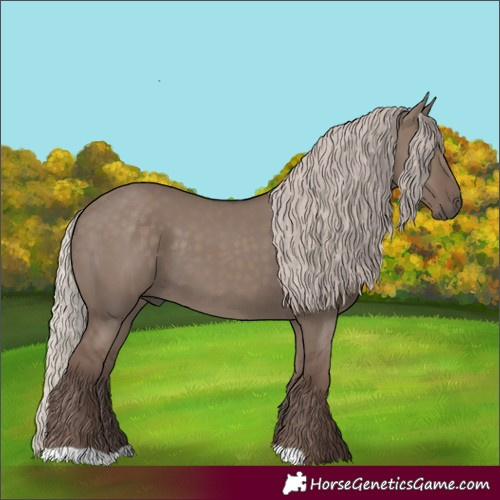 Horse Color:Silver Grullo 
