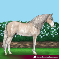 Horse Color:Chocolate Palomino Pearl Sabino Appaloosa Rabicano and Chocolate Palomino Pearl Sabino Splash Appaloosa Rabicano