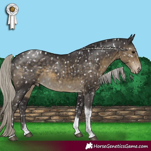 Horse Color:Silver Smoky Black Tobiano Appaloosa Rabicano 