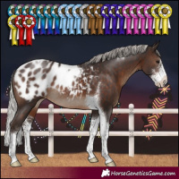 Horse Color:Silver Brown Sabino Tobiano Blanket Rabicano 