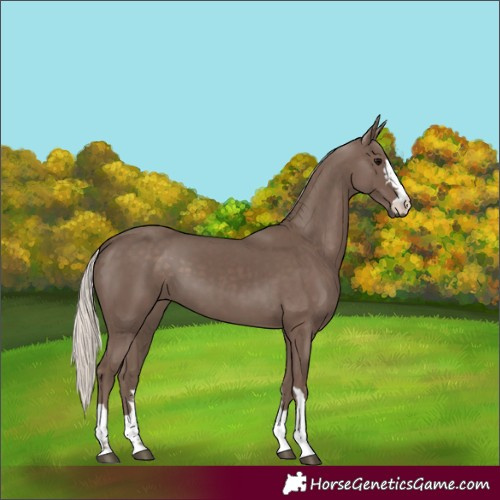 Horse Color:Silver Black 