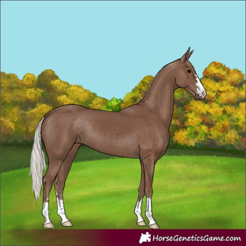 Horse Color:Silver Black 