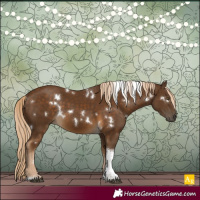 Horse Color:White Spotted Chocolate Palomino Tobiano