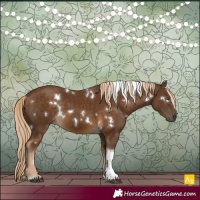 Horse Color:White Spotted Chocolate Palomino Tobiano 