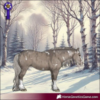 Horse Color:White Spotted Silver Grullo Splash Tobiano Brindle