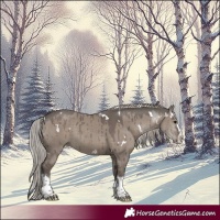 Horse Color:White Spotted Silver Grullo Splash Tobiano Brindle 