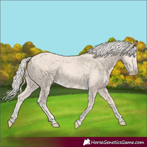 Horse Color:Cremello 