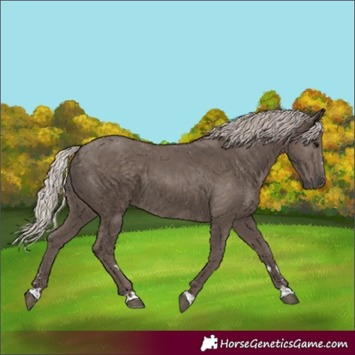 Horse Color:Silver Black 