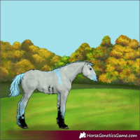 Horse Color:Void Watercolor Grullo Sabino Tobiano 