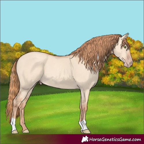 Horse Color:Gold Champagne Dun 