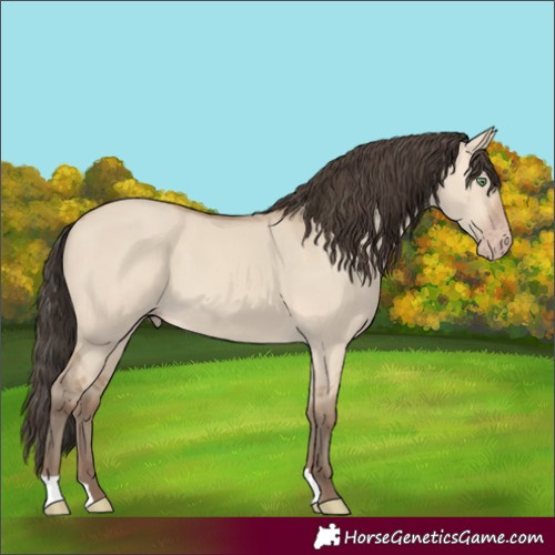 Horse Color:Amber Champagne Dun 