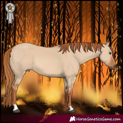Horse Color:Red Dun 